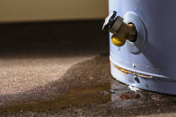 Best Water damage restoration near me  in Temple, TX