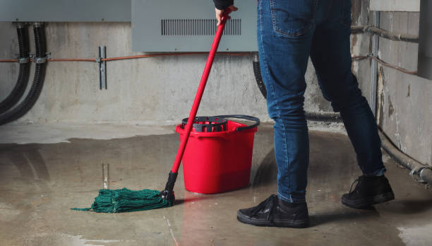 Best Sewage cleanup and water damage restoration  in Temple, TX