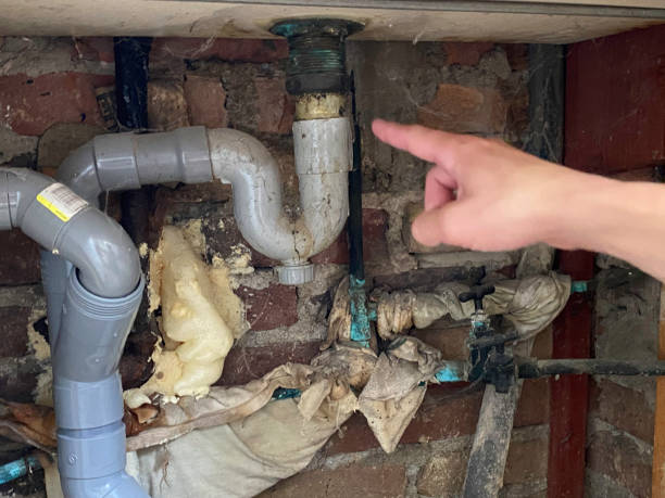 Best Flooded house restoration  in Temple, TX